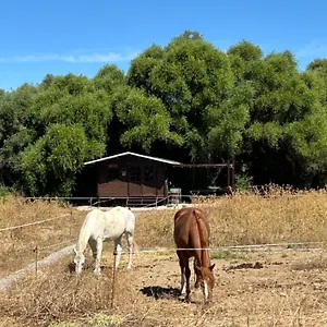 Rustica En Un Rancho Con Caballos, Prado Del Rey, Andalucia , Prado Del Rey España